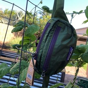 Patagonia Fanny Pack